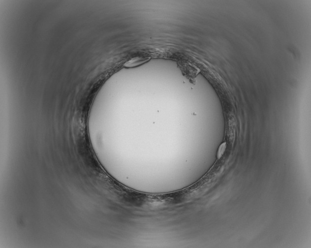 X0000112790613200909041413