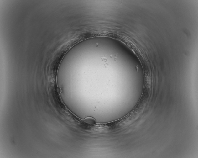 X0000112790617200909041413