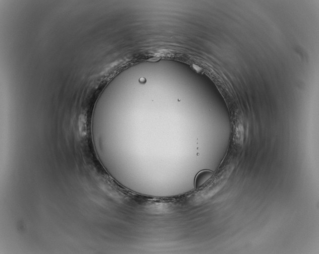 X0000112790620200909041413