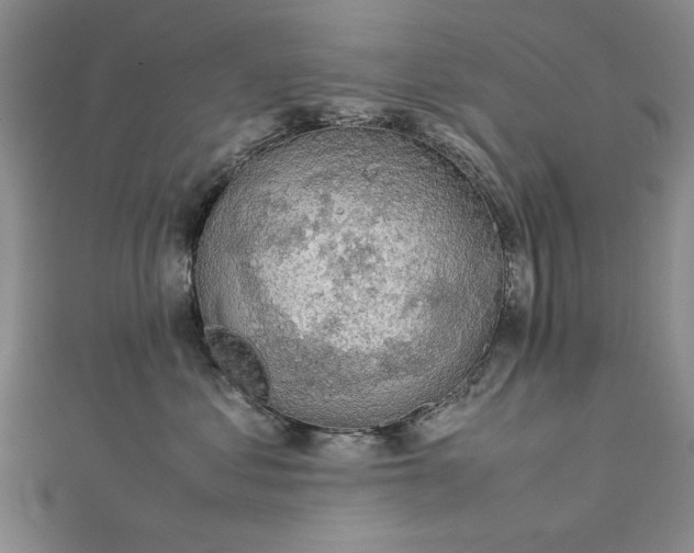 X0000112790621200909041413