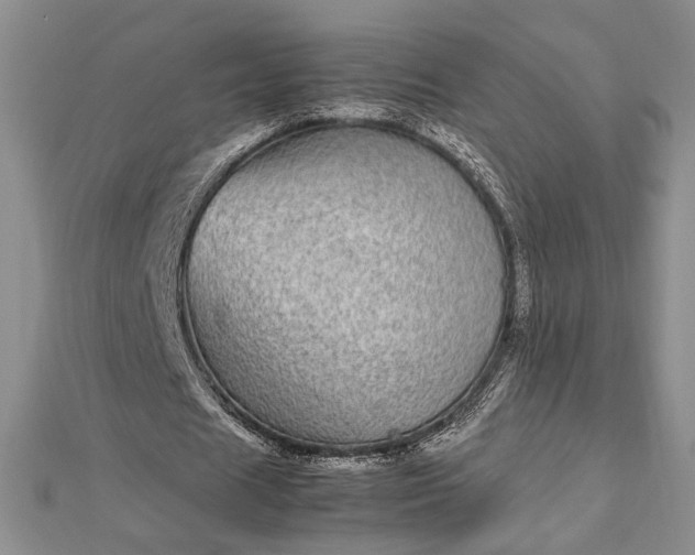 X0000112790625200909041412