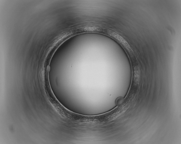 X0000112790626200909041412