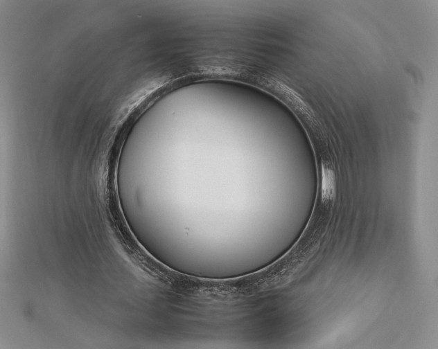 X0000112790627200909041412