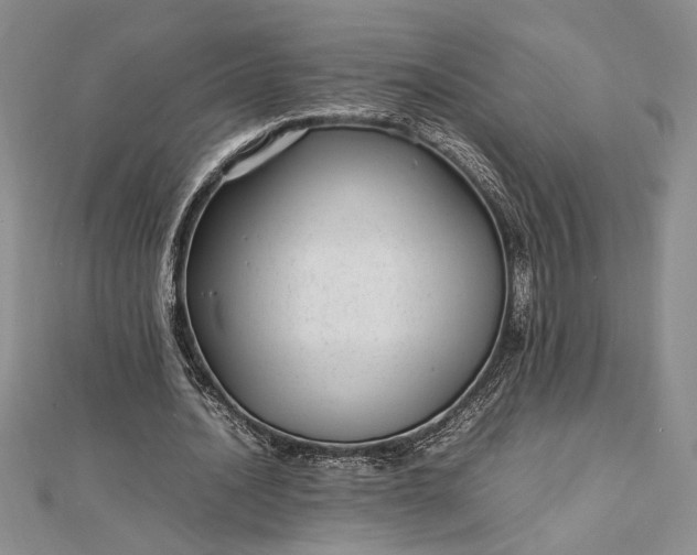 X0000112790628200909041413