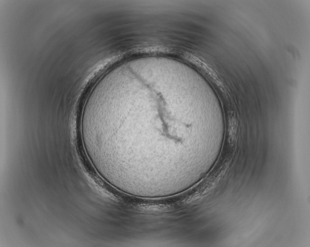 X0000112790629200909041413