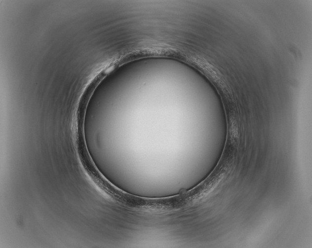 X0000112790630200909041413