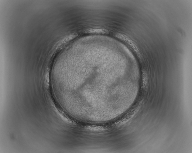 X0000112790633200909041413