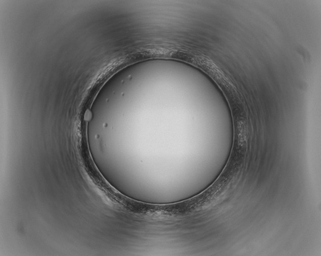 X0000112790634200909041413