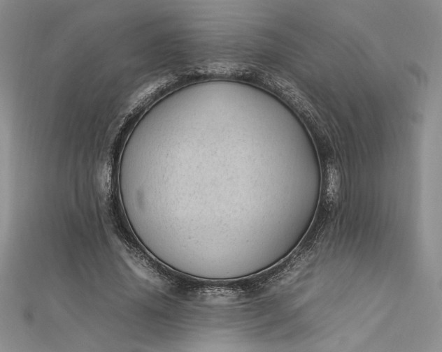 X0000112790636200909041413