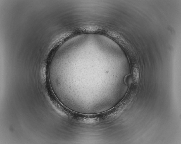 X0000112790638200909041413