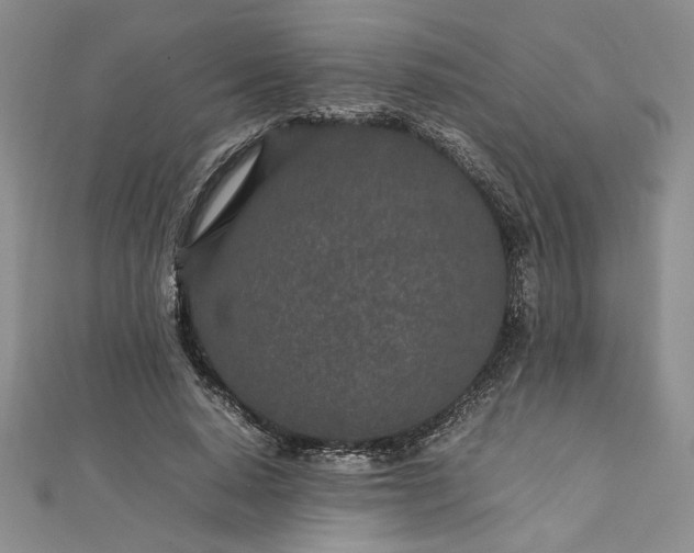 X0000112790640200909041413