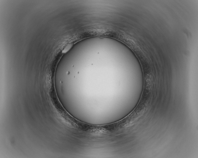 X0000112790642200909041413