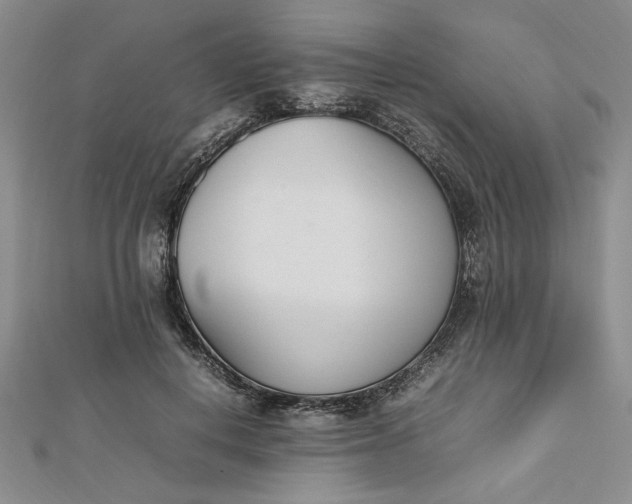 X0000112790648200909041413