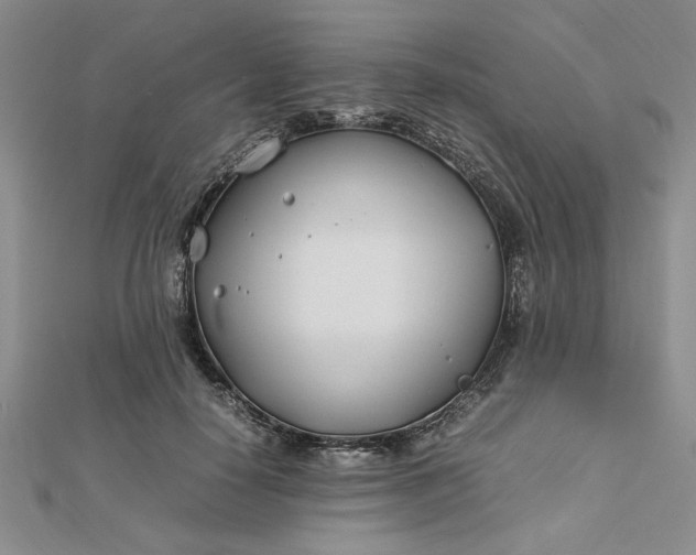 X0000112790650200909041413