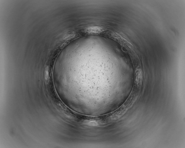 X0000112790655200909041413