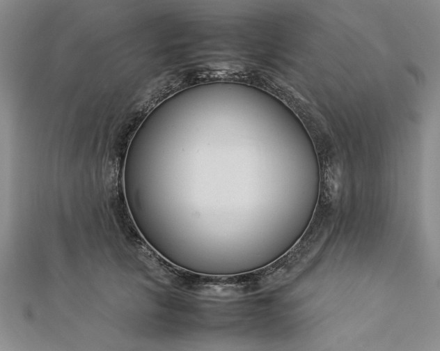 X0000112790657200909041413