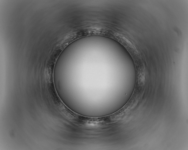 X0000112790661200909041413