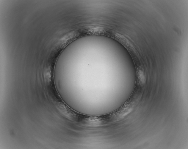 X0000112790668200909041413