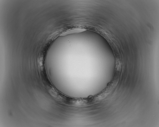 X0000112790670200909041413