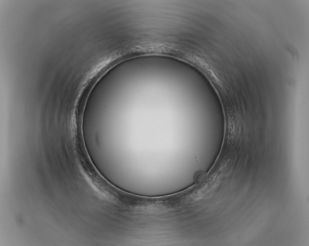 X0000112790674200909041412