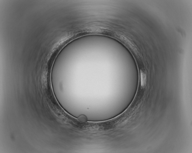 X0000112790675200909041412