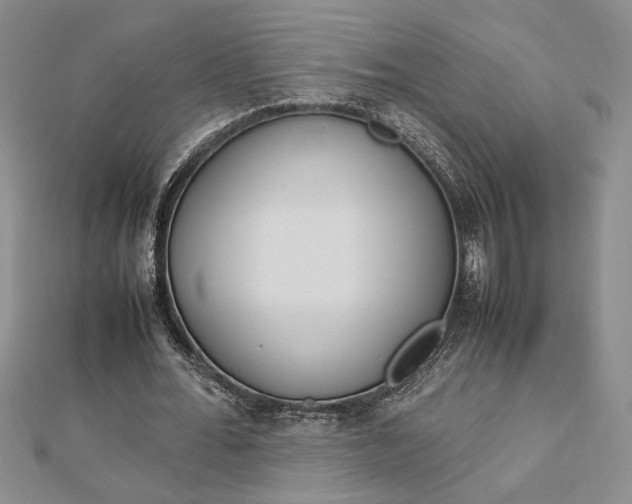 X0000112790676200909041412