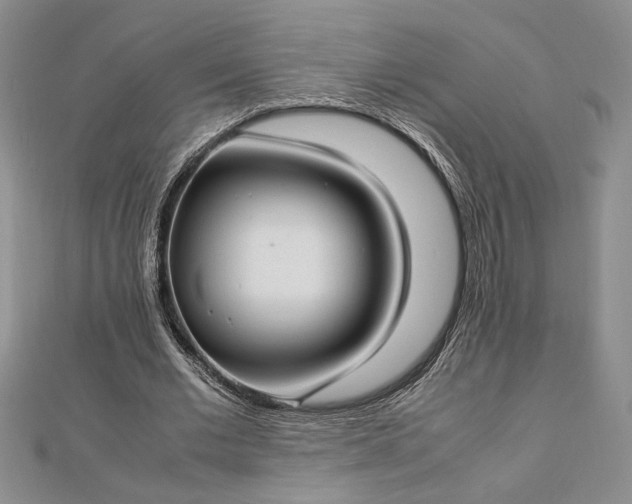 X0000112790677200909041412