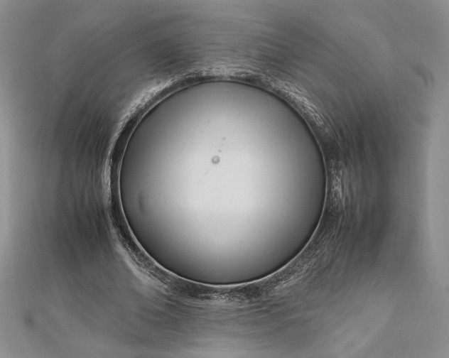 X0000112790678200909041412