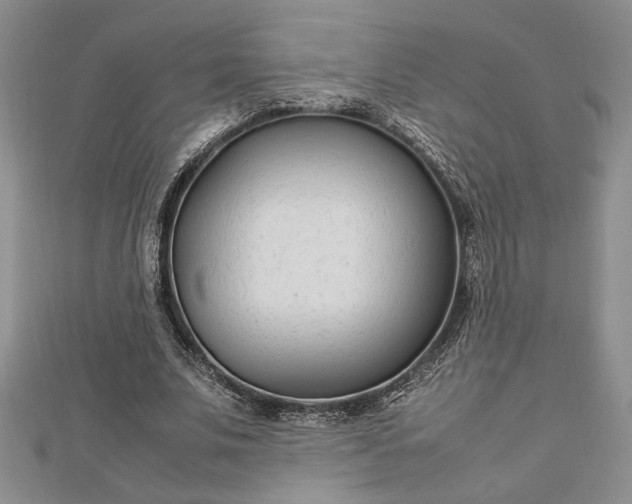 X0000112790679200909041412