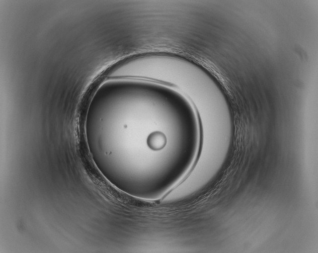 X0000112790680200909041412