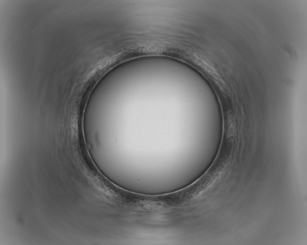 X0000112790681200909041412