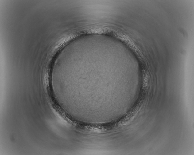 X0000112790683200909041412