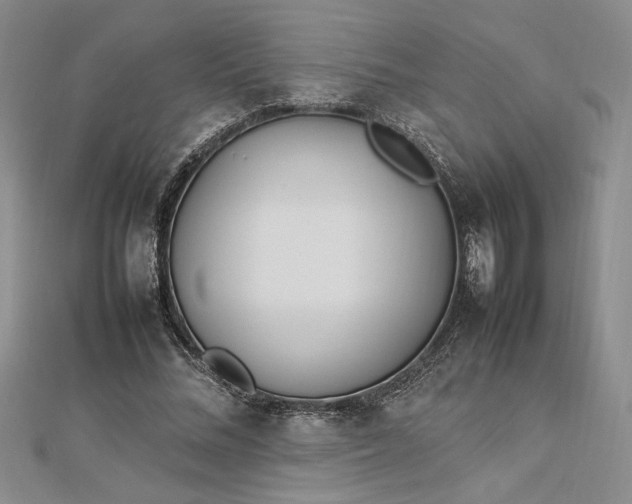 X0000112790684200909041412