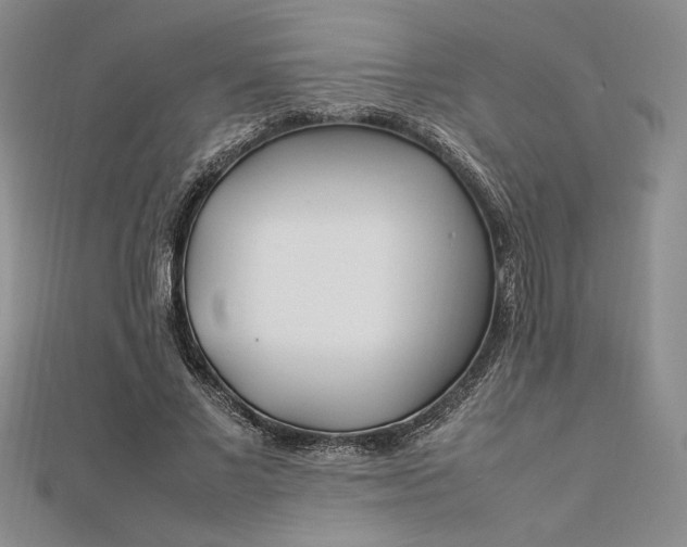 X0000112790685200909041412