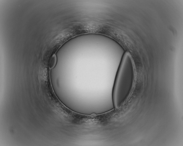 X0000112790689200909041412