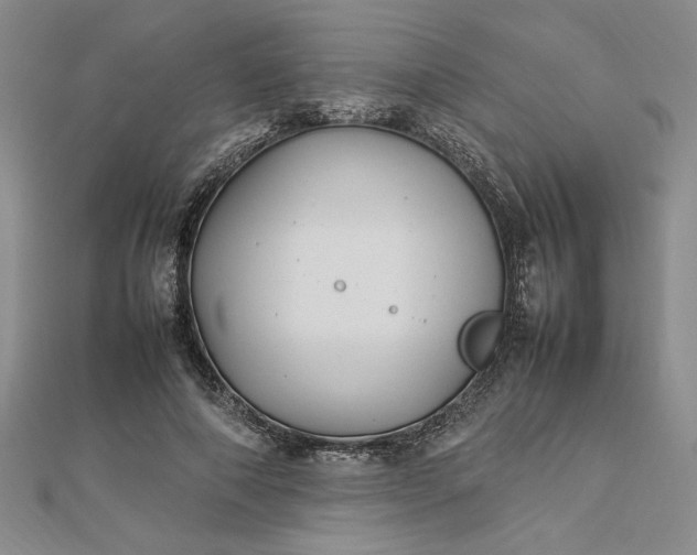 X0000112790690200909041412