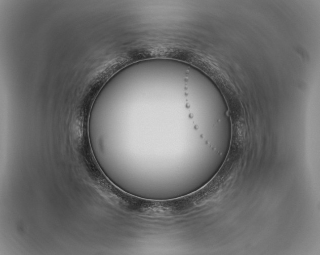 X0000112790691200909041412