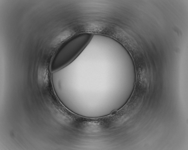 X0000112790692200909041412