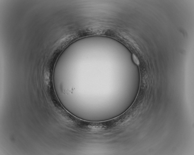 X0000112790693200909041412