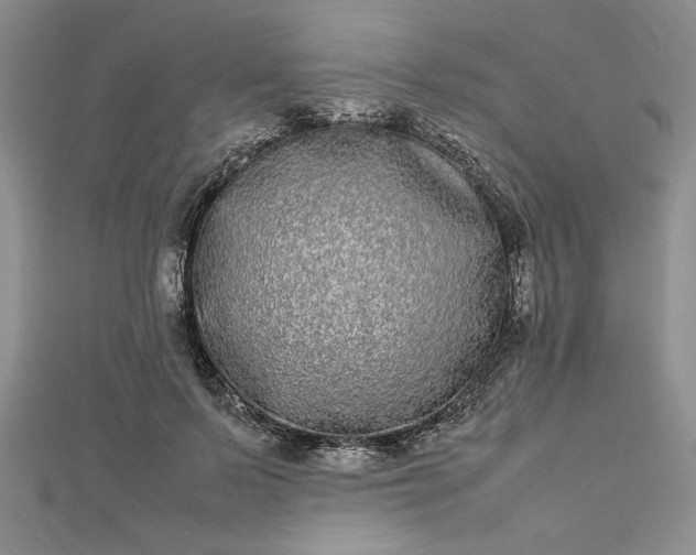 X0000112790695200909041412