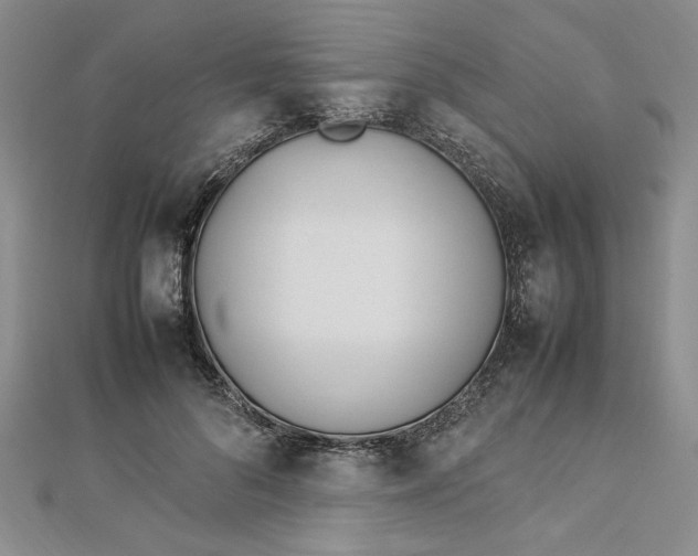 X0000112790696200909041412