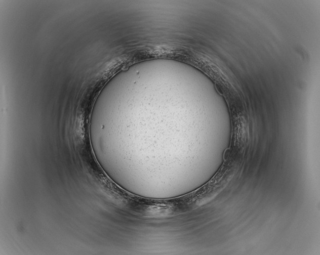 X0000112790700200909041412