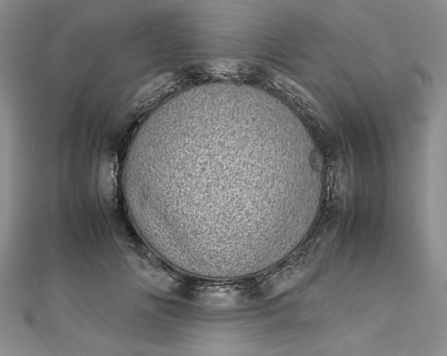 X0000112790702200909041412