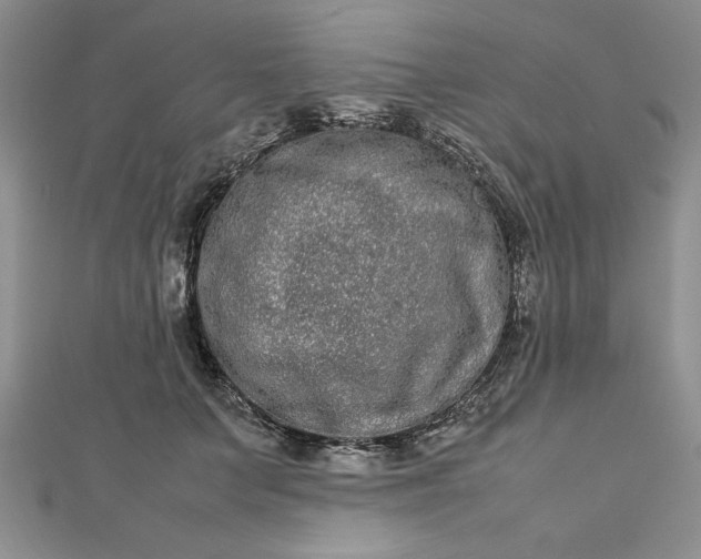 X0000112790703200909041412