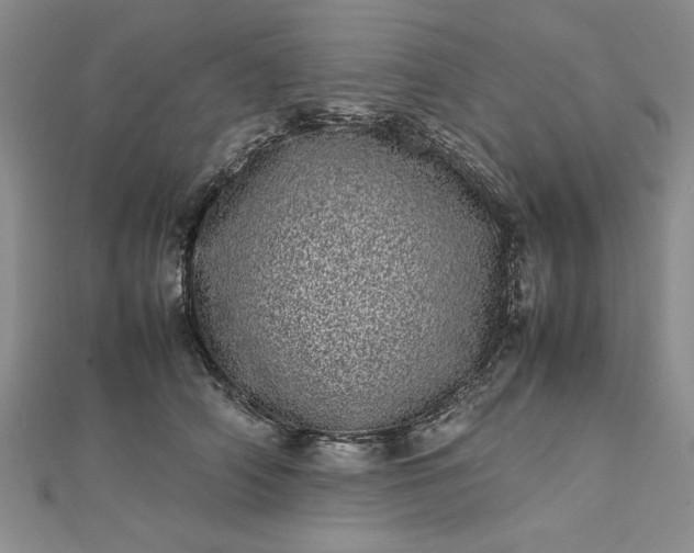 X0000112790706200909041412