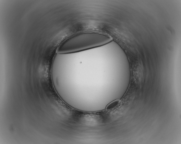 X0000112790708200909041412