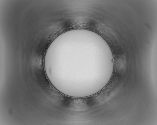 X0000112790709200909041412