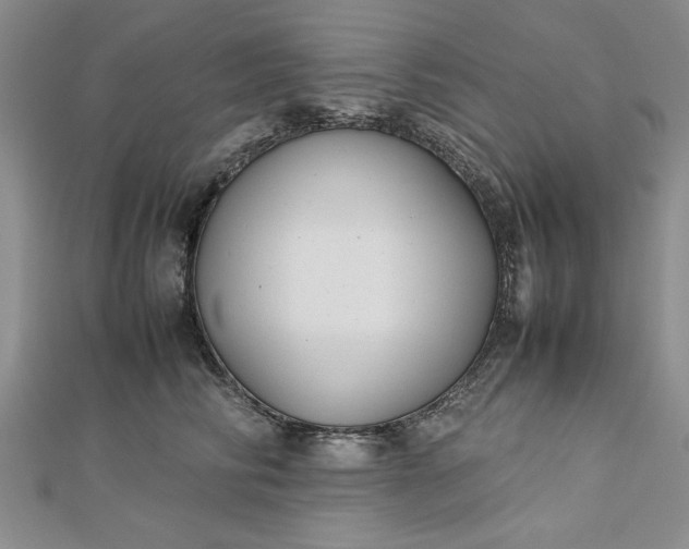 X0000112790710200909041412