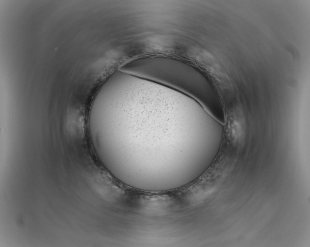 X0000112790716200909041412