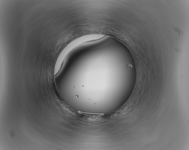 X0000112790720200909041412